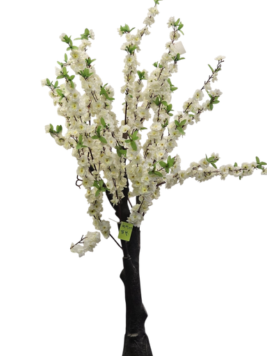 درەختێک بە گوڵ