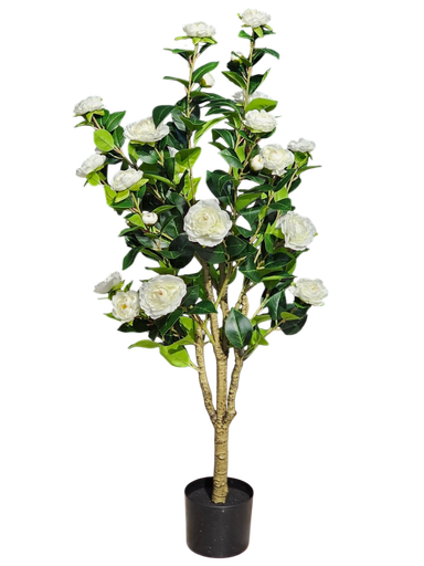 115 cm of flowering trees