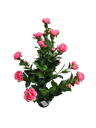  90 cm flowering tree