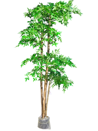 ناندینا 190 سانتیمەتر