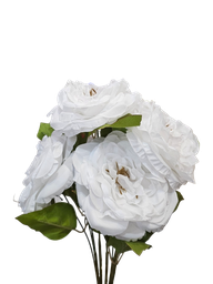 گوڵەبەڕۆژە