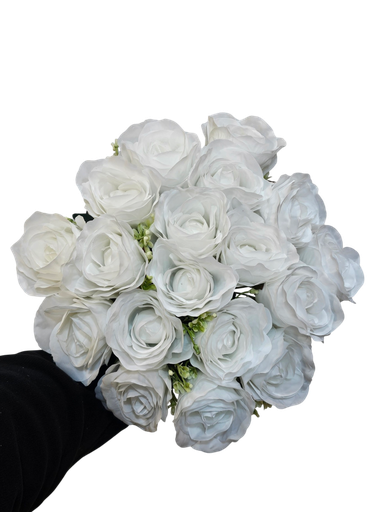 گوڵەباخی سپی