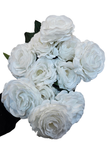 White Rose