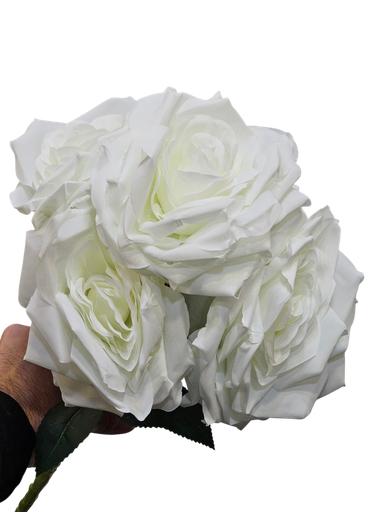 گوڵەباخی سپی