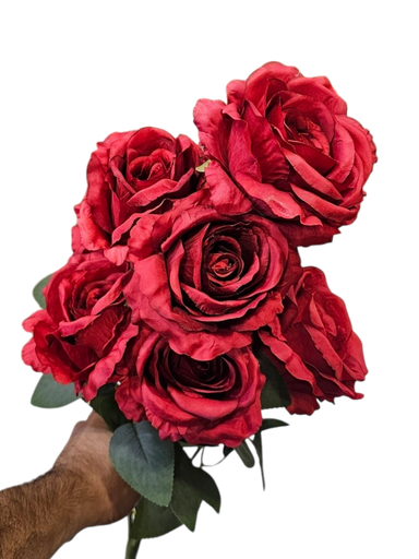 الوردة الحمراء