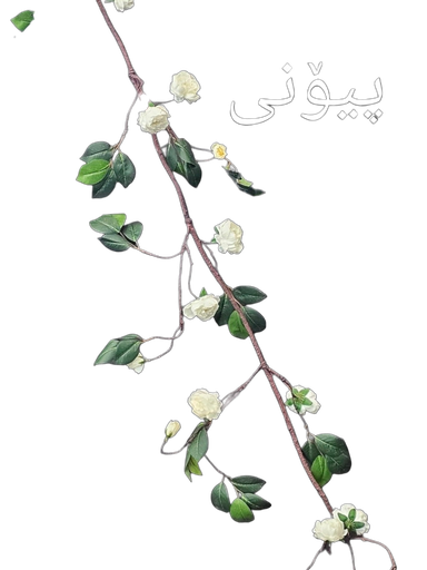 ڕەگ لەگەڵ گوڵ