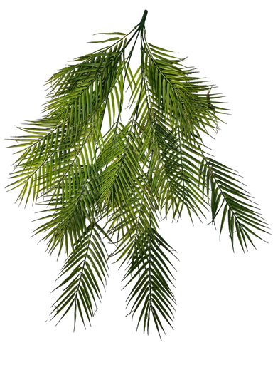 suspended foliage