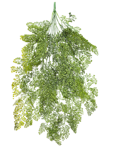 أوراق معلقة