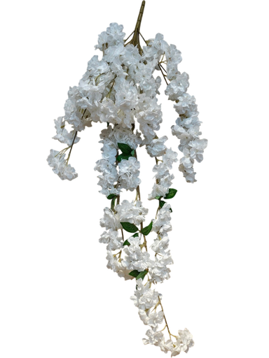 ذيل الثعلب المعلق