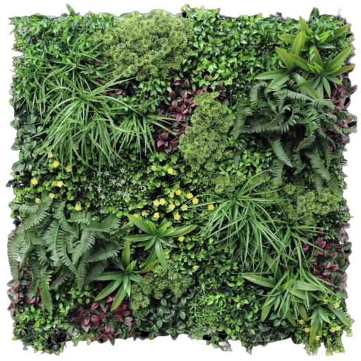 جدار أخضر خارجی