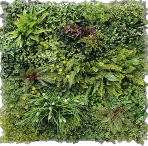 جدار أخضر خارجی