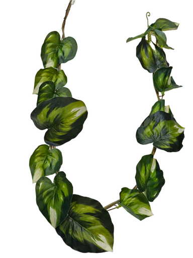 suspended large leafs