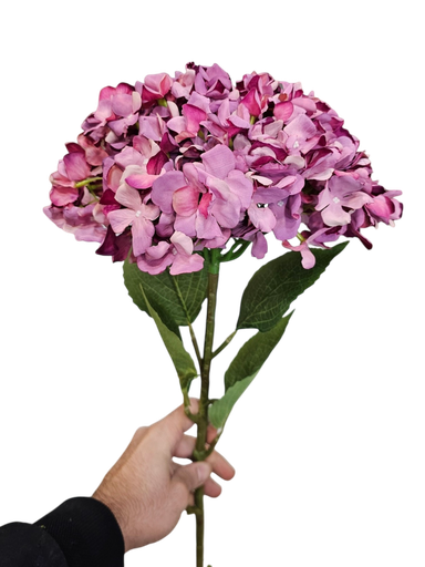 كرة الهدرانج