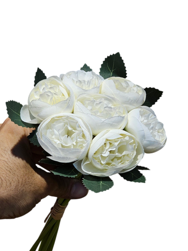 پیۆنیایی سپی