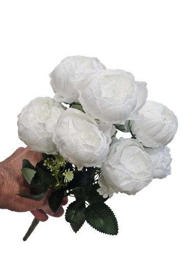 White Peony