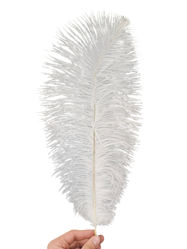 ostrich feather