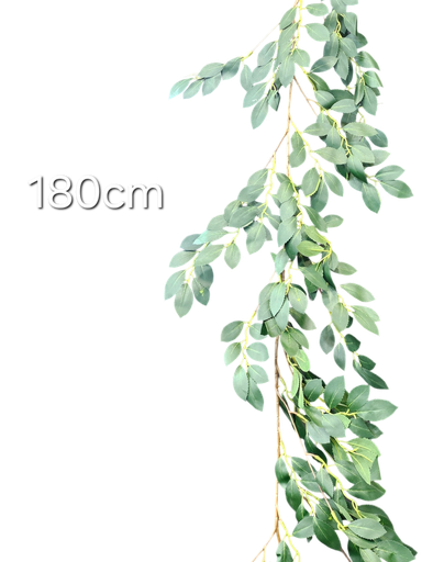 گەڵای 180 سانتیمەتر