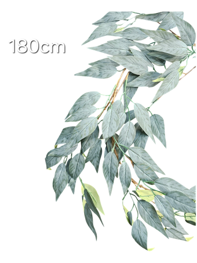 180 cm leaves