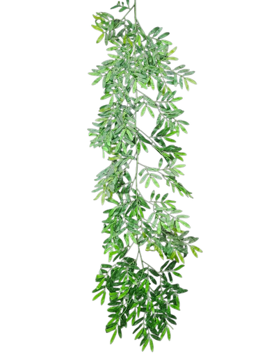 گەڵای 200 سانتیمەتر