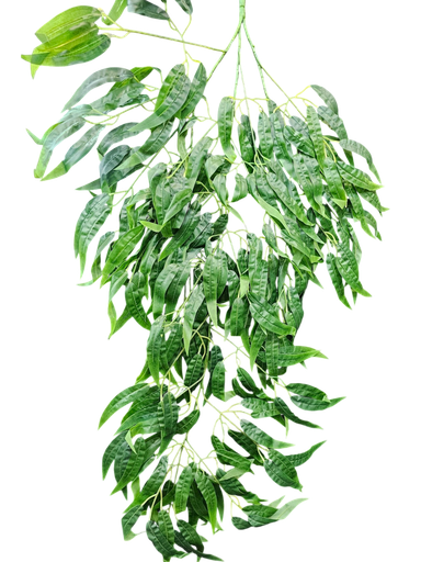 گەڵا هەڵواسراوەکان