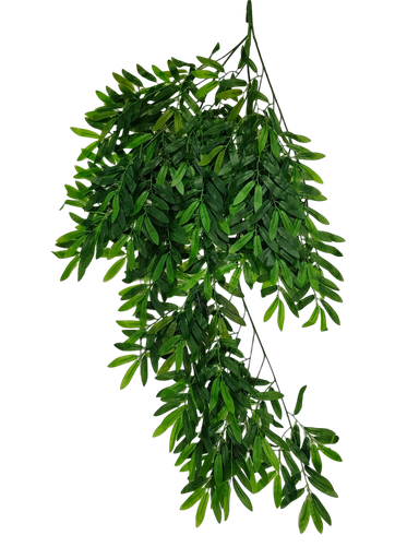 hanging leaves