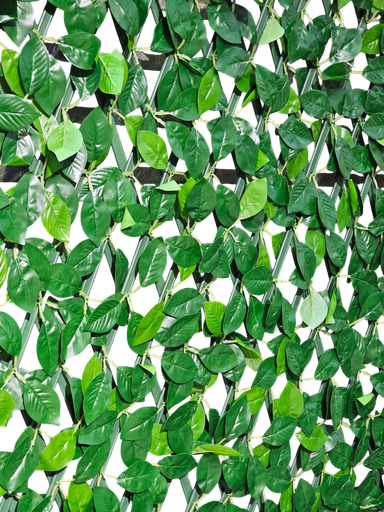 لوحة الكرمة