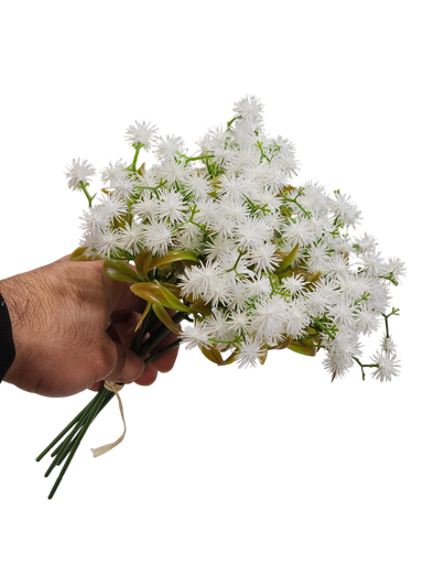 چیپسۆفیلیا