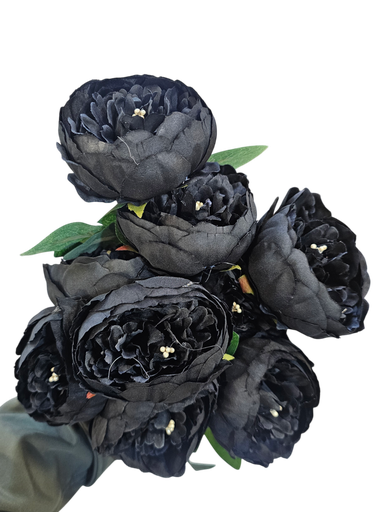 black peony
