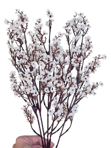 peach blossom branch