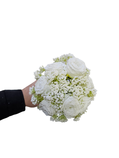 گوڵەباخی سپی