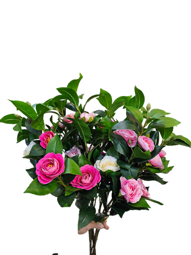 گوڵەباخ لەگەڵ گەڵا