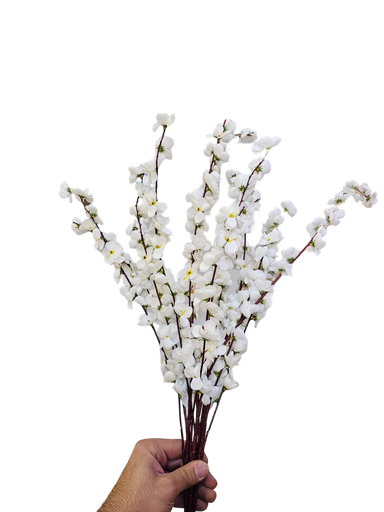 فرع زهرة الخوخ