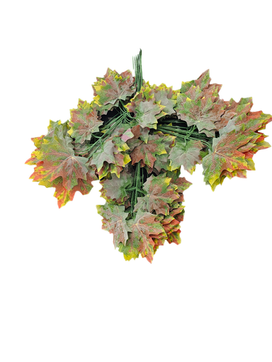 دزينة من الأوراق