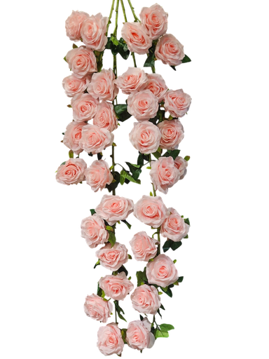 tall rose