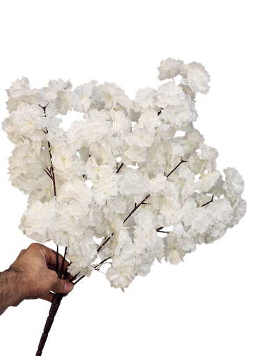 کلکی ڕێوی سپی