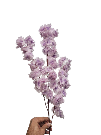 ذيل الثعلب البنفسجي