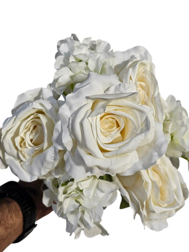 گوڵە کرێمییەکان