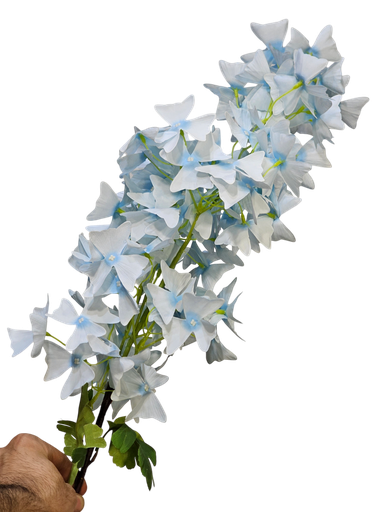 لقی گوڵەکان