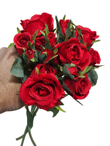 گوڵە سوورەکان