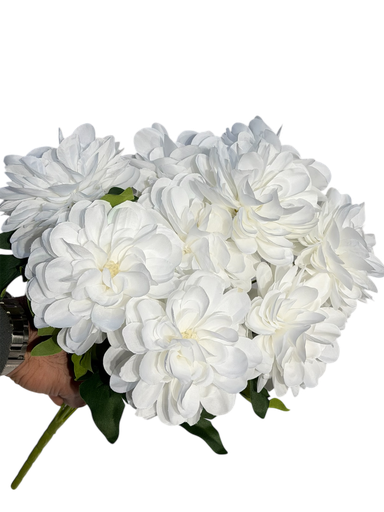 گوڵی جەربێرای سپی