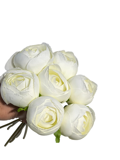 white peony