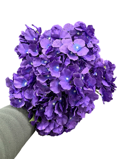 Purple hydrangea