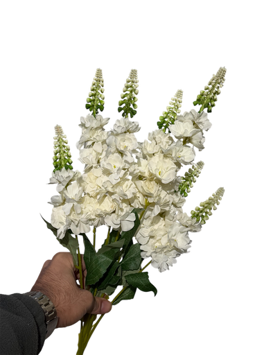 زهرة الوستارية