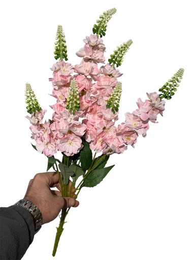 گوڵی ویستریا