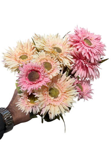 Daisy Pink